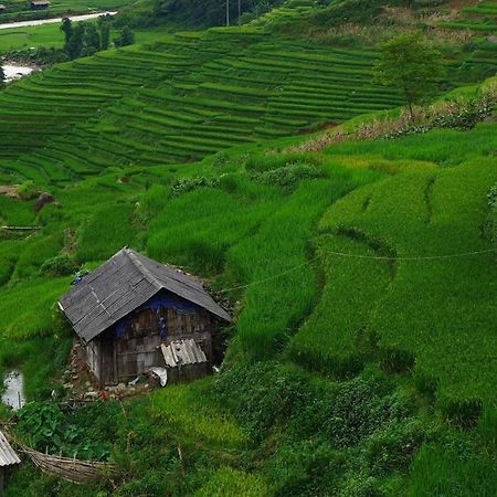 Freedom Homestay & Trekking Sapa Εξωτερικό φωτογραφία