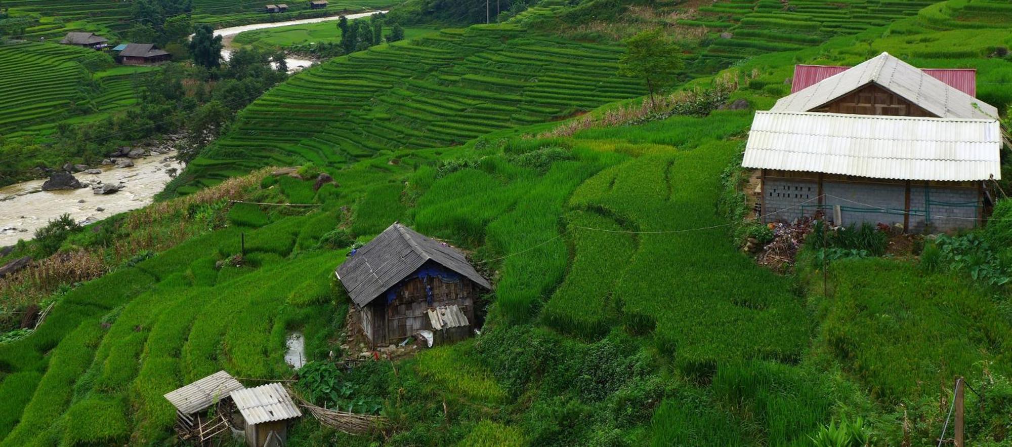 Freedom Homestay & Trekking Sapa Εξωτερικό φωτογραφία