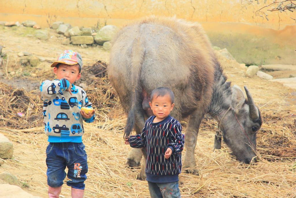Freedom Homestay & Trekking Sapa Εξωτερικό φωτογραφία