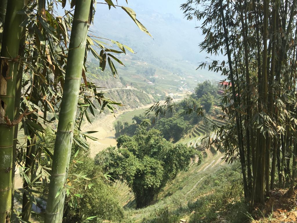 Freedom Homestay & Trekking Sapa Εξωτερικό φωτογραφία
