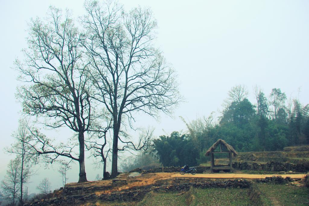 Freedom Homestay & Trekking Sapa Εξωτερικό φωτογραφία