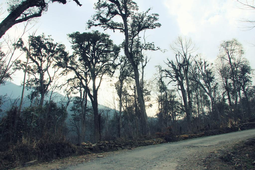 Freedom Homestay & Trekking Sapa Εξωτερικό φωτογραφία