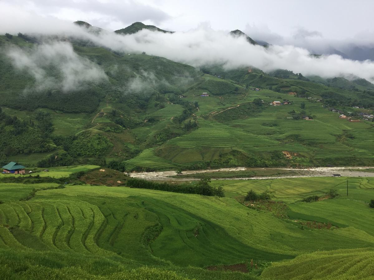 Freedom Homestay & Trekking Sapa Εξωτερικό φωτογραφία