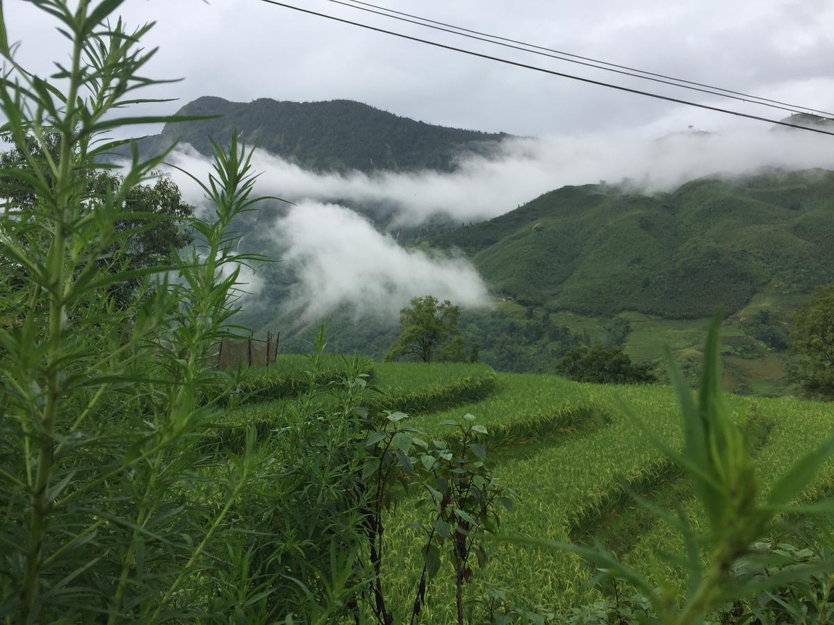 Freedom Homestay & Trekking Sapa Εξωτερικό φωτογραφία