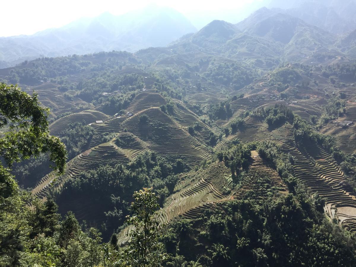 Freedom Homestay & Trekking Sapa Εξωτερικό φωτογραφία